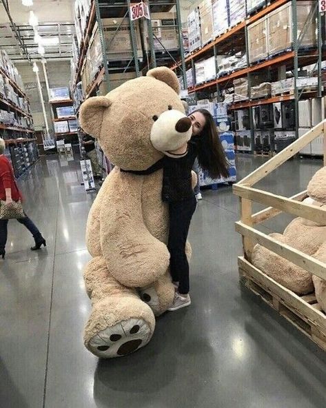 Huge Teddy Bears, Big Stuffed Animal, Big Teddy, Giant Teddy Bear, Giant Teddy, Cute Squishies, Cute Stuffed Animals, Big Bear, Cute Toys