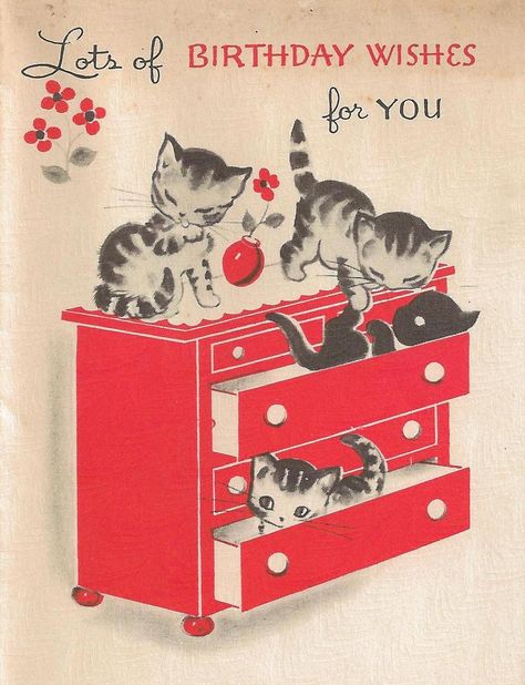 my cat went in the top drawer, got over the back, fell through to the bottom.  I opened the bottom drawer and she looked at me like What the hell just happened? Happy Birthday Cat, Kittens Vintage, Kitten Birthday, Happy Birthday Vintage, Cat Birthday Card, Vintage Birthday Cards, Birthday Wishes Funny, Birthday Book, Cat Cards