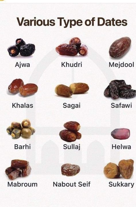 Laylatul Qadar, Types Of Dates, 3 Ramadan, Dates Fruit, Dates Tree, Ramdan Kareem, Muslim Art, About Ramadan, Pretty Aesthetic