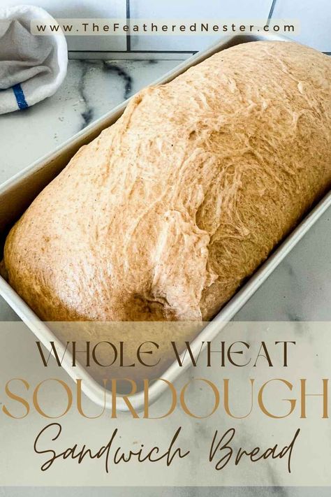 Whole Wheat Sourdough Bread | This easy recipe uses a ready-to-go sourdough starter and King Arthur whole wheat flour for a slightly tangy, perfectly sweet and fluffy loaf every time. Prepare the dough in the evening and let it rest overnight before baking; with very little effort (but a bit of patience) you will be enjoying the best tender, sliceable, favorite toppings-worthy sandwich bread made with healthier whole wheat. Whole Wheat Sourdough Bread Starter, Sourdough With Whole Wheat Flour, White Whole Wheat Sourdough Bread, Sourdough Sandwich Bread Recipes, Sourdough Whole Wheat Rolls, Sour Dough Sandwich Bread Recipe, Easy Whole Wheat Sourdough Bread Recipe, Sourdough Sandwich Bread All Purpose Flour, Whole Grain Sourdough Sandwich Bread