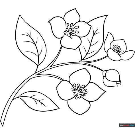 Free Jasmine Flower Coloring Page for Kids Jasmine Flower Drawing, Jasmine Flowers, Carrot Drawing, Printable Flower Coloring Pages, Fabric Paint Designs, Flower Drawing Tutorials, Jasmine Flower, Flower Art Drawing, Detailed Coloring Pages