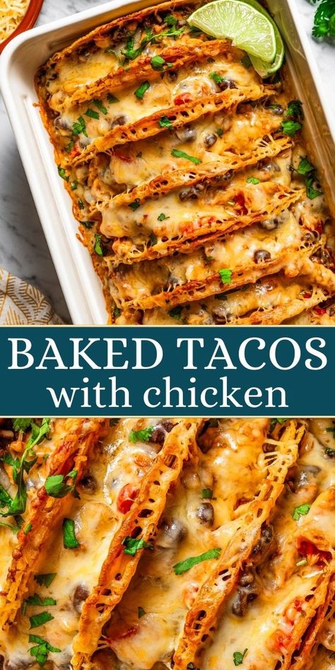 Tacos With Chicken, Baked Tacos, Baked Tacos Recipe, Recipe For A Crowd, Seasoned Ground Beef, Baked Chicken Tacos, Shredded Chicken Tacos, Taco Dinner, Chicken Taco Recipes