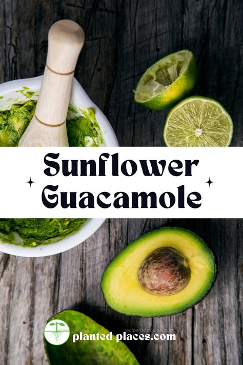 Brighten up your dip game with this zesty Sunflower Guacamole 🌻🥑 Fresh, tangy, and with a crunch of sunflower microgreens, it's a twist on the classic that'll have everyone dipping for more! Perfect for your weekend chill-out or garden party spread. You can grow sunflower microgreens easily.

Click to download recipe.

#plantedplaces #plantedwall Party Spread, Growing Microgreens, Leafy Greens, Edible Garden, Growing Plants, Garden Party, Guacamole, Gardening Tips, Sunflower