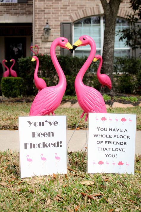 Church Fundraiser: You’ve Been Flocked! – Tip Junkie Flocked Fundraiser, Flocking Fundraiser, Flamingo Fundraiser, Dance A Thon Fundraiser, Frg Fundraising Ideas, You've Been Flocked, Thumbtack Art, Church Fundraisers, Month October