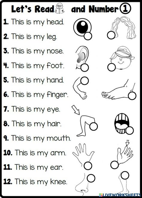 Parts Of Body Worksheet For Kindergarten, Part Of The Body For Kids, Parts Of The Body For Kids Worksheet, Body Parts Worksheet For Grade 1, Part Of Body For Kids, Body Parts For Kids Worksheets, Parts Of The Body Worksheets Preschool, Body Parts Worksheet Kindergarten, Body Parts Worksheet For Kids