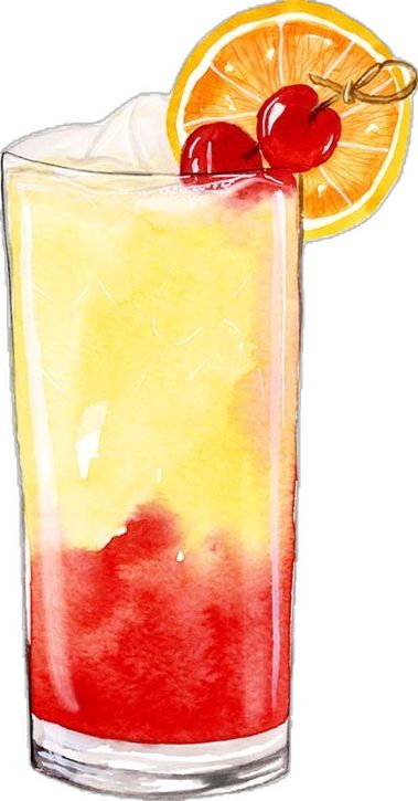 Cocktails Drawing, Sunrise Drawing, Cocktail Tequila, Illustration Art Poster, Tequila Sunrise Cocktail, Summer Graphics, Sunrise Cocktail, Graphics Artwork, Cocktail Illustration