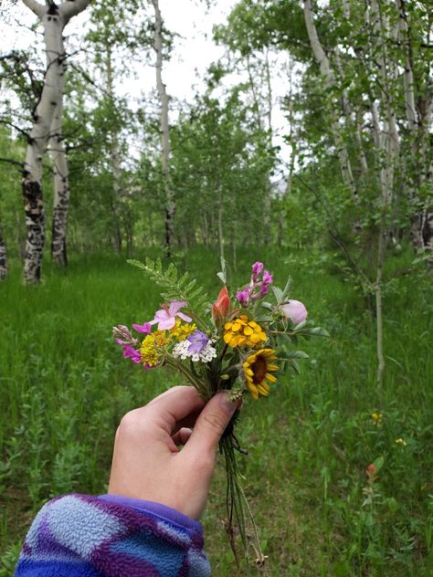 Fresh Picked Flowers, Picked Wild Flowers, Angie Core, Hand Picked Flowers, Flower Core, Flower Picks, Flower Bucket, Flowers Gifts, Wildflower Bouquet