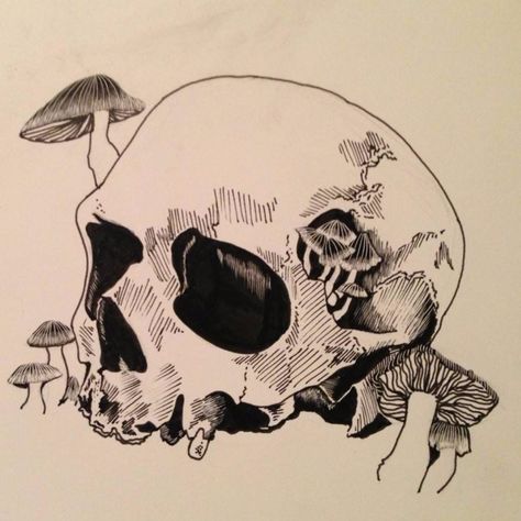 Stuff About Me, Sugar Mommy, Botanical Sketchbook, Skull Sketch, Armband Tattoos, Mushroom Drawing, Skulls Drawing, Bleach Art, Dark Art Drawings