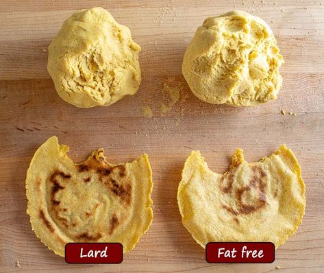 Comparing two batches of corn tortillas: lard vs. fat free Tortillas With Lard, Flour Tortillas With Lard, Tortilla Recipe With Lard, How To Fry Corn Tortillas For Tacos, Half Corn Half Flour Tortilla Recipe, Making Corn Tortillas, Lard Recipe, Gorditas Recipe, Corn Tortilla Recipes