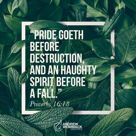 “Pride goeth before destruction, and an haughty spirit before a fall” (Proverbs 16:18) (Andrew Wommack). #KWMinistries Pride Comes Before The Fall Quotes, Before The Fall, Proverbs 16, Natural Women, Autumn Quotes, Human Mind, Daughters Of The King, Faith In Love, Christian Life