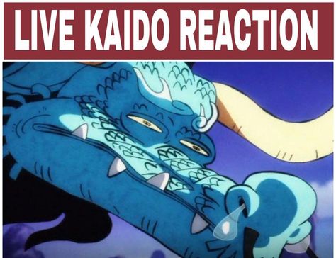 One Piece Funny Moments, Kaido One Piece, One Piece Meme, Hand Drawing Reference, One Piece Ace, One Piece Funny, One Peice Anime, One Piece Drawing, One Piece Images