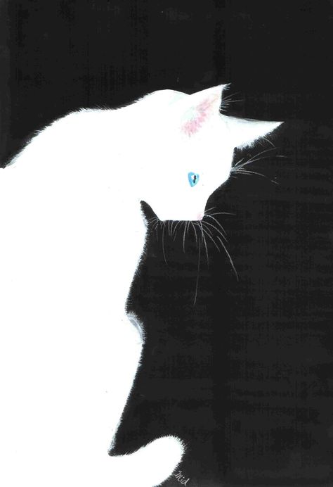 Russian White Cat, White Cat Meme, Black White Cat, Grey And White Cat, Cat With Blue Eyes, Cat Poster, Cat Artwork, Cat Posters, White Cats