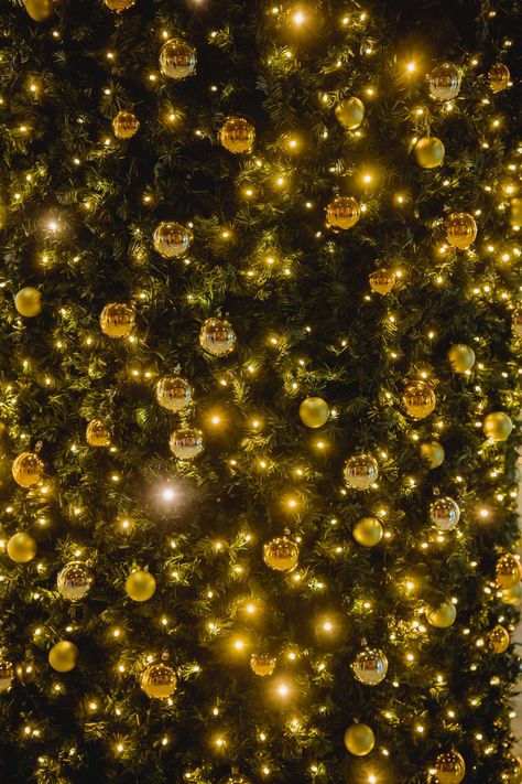 Yellow Christmas Aesthetic, Yellow Christmas Tree, Christmas Tree Aesthetic, Christmas Tree Bulbs, Yellow Christmas, Tree Aesthetic, Merry Christmas Wallpaper, Orange Christmas, Xmas Wallpaper