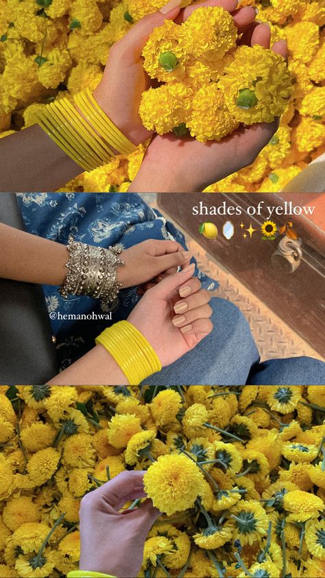 Yellow🍋💭🥛🪞✨ Yellow Photo Aesthetic, Yellow Desi Aesthetic, Desi Layout, Photo Inspiration Instagram, Indian Wedding Aesthetic, Wedding Collage, Aesthetic Collection, Clever Captions For Instagram, Instagram Captions Clever