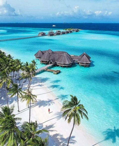 Travel | Nature | Vacation on Instagram: “❤Double Tap❤ if you wish you were here. . . Follow - @worlds_travel7 Follow - @worlds_travel7 📷:-@michutravel Note- I'm not owner this…” Maldives Wallpaper, Maldives Aesthetic, Best Countries To Visit, Maldives Island, Adventure Travel Explore, Maldives Travel, World Wallpaper, Places In The World, Travel Locations