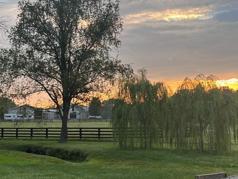 Sunrise Stables, Versailles, Kentucky Versailles Kentucky, Georgetown Kentucky, Versailles, Stables, Kentucky