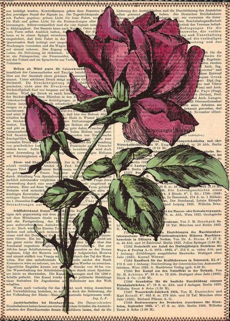 Rose Poster, Vintage Book Pages, طابع بريدي, Newspaper Art, Book Page Art, Dictionary Art, Picture Collage Wall, Vintage Poster Art, Art Collage Wall