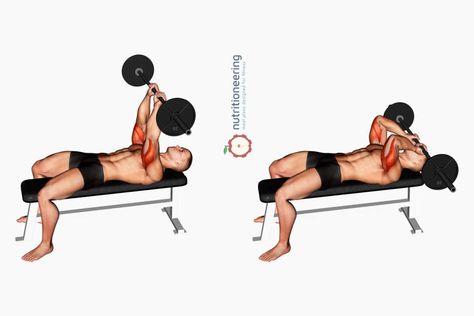 Barbell Tricep Exercises Skull Crusher Skull Crushers Exercise, Scull Crusher Exercise, Tricep Exercises, Skull Crushers, Resistance Training Workouts, Tricep Workout, Tricep Kickback, Push Day, Training Exercises