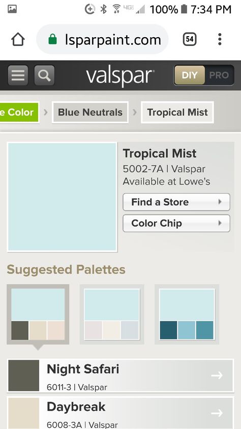 Tropical Mist Valspar, Color Chip, Color Inspiration, Mist, Blue Color, Color