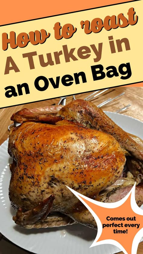 How to roast a perfect Turkey in an oven bag! Holiday dinner ideas. Cooking A Turkey In Oven Bag, Turkey In The Bag Recipe, Basting A Turkey Recipe, Cooking Bag Turkey Recipes, Baking A Whole Turkey In The Oven, Thanksgiving Turkey In Oven Bag, Thanksgiving Turkey In Bag, How To Cook A 15 Lb Turkey, Roasted Turkey In A Bag Recipes