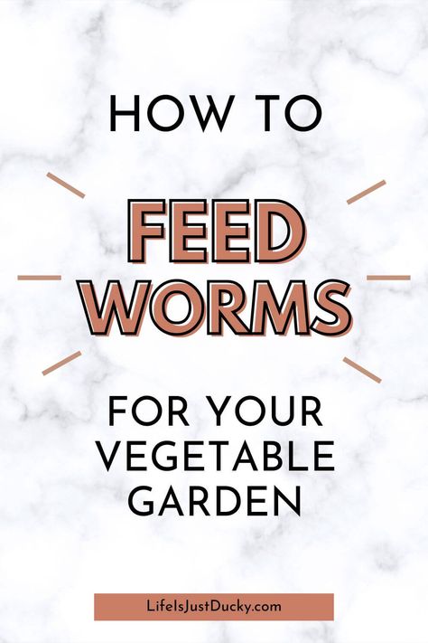 What to feed worms in your worm bin. Worms make the best compost. But what do worms like to eat? And what makes the best plant food? Find out all about how to feed worms. Meal Worms, Worm Bin, Worm Farm, Permaculture Gardening, Healthy Vegetables, Grow Your Own Food, Off The Grid, Garden Trees, Plant Food