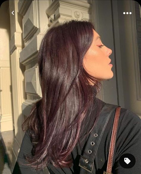 Hair Color For Indian Skin Tone Without Bleach, 2023 Hair Color Trends For Indian Women, Light Plum Brown Hair, Milk Tea Hair Color On Brown Skin, Dark Hair Colors 2023, One Dye Hair Color, Brunette Hair Purple Undertone, Best Colors For Black Hair, Plum Dark Hair