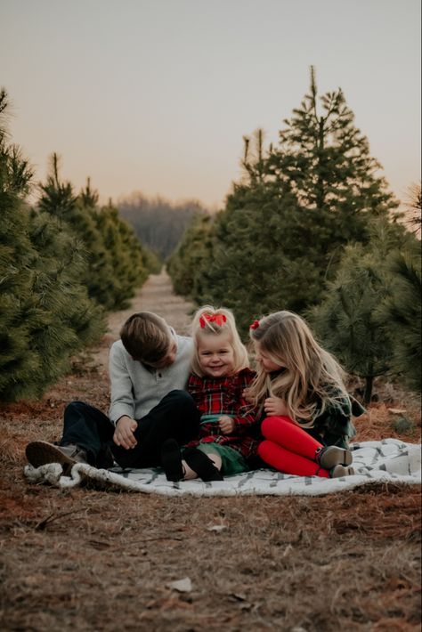 Sibling Christmas Photo Ideas, Sibling Christmas Pictures Outdoor, Christmas Tree Sibling Photos, Toddler Tree Farm Photos, Christmas Tree Farm Photo Shoot Family, Christmas Tree Farm Photo Shoot Family Mini Sessions, Tree Farm Photoshoot, Family Tree Farm Photos Christmas Minis, Christmas Tree Farm Family Photos