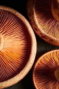 20 Mushrooms ideas in 2022 | stuffed mushrooms, fungi, mushroom fungi Still Life Arrangements, Asoiaf Art, Australian Food, Moody Photography, Texture Inspiration, Still Life Photographers, In Season Produce, Mushroom Art, Fruit Art