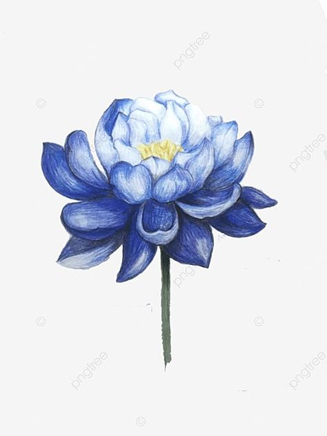 Orchid Varieties, Cute Easy Doodles, Simple Doodles, 로고 디자인, Lotus Flower Tattoo, Flower Drawing, Blue Flowers, Flower Tattoo, Orchids