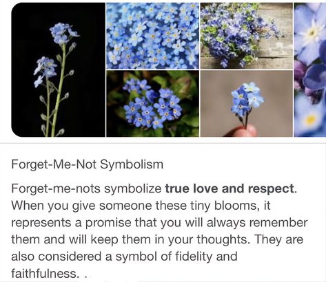 Forget Me Not Flower Meaning, Delphinium Flower Meaning, Blue Flowers Meaning, Delphinium Meaning, Pretty Blue Flowers Aesthetic, Meaning Of Flowers, Blue Bell Flowers Meaning, Delphinium Flower, Flower Language