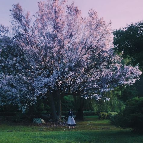 the handmaiden movie aesthetic // the handmaiden icons The Handmaiden Fanart, The Handmaiden Cinematography, The Handmaiden Art, The Handmaiden Wallpaper, The Handmaiden Aesthetic, Handmaiden Aesthetic, Handmaiden Movie, The Handmaiden, Park Chan Wook