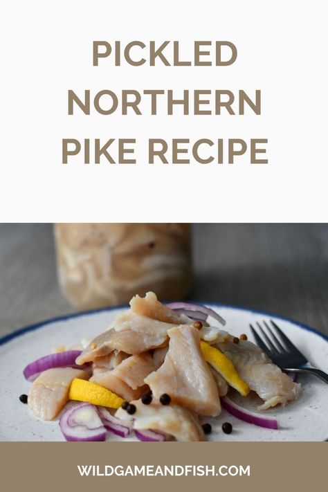 Northern Pike Recipe, Pike Recipes, Pickled Fish Recipe, Pickled Fish, Pike Fish, Northern Pike, Lent Recipes, Fish Salad, Pickling Recipes