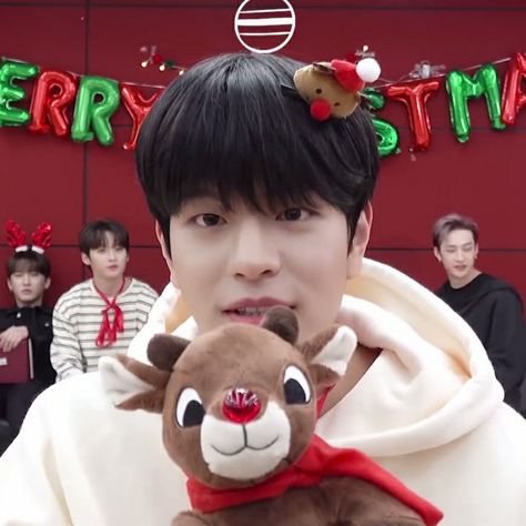 Straykids Christmas Icons, Skz Random, Icon Christmas, Christmas Layouts, Kids Mood, Stray Kids Chan, Baby Squirrel, Christmas Icons, Stray Kids Seungmin