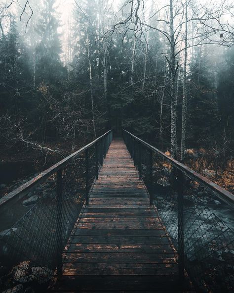 Another shot from this bridge😊🌲 . . . . . . #nomadstories #northwestisbest #in2nature #moodynature #moody_nature #moodygram #moody_tones… Moody Travel Aesthetic, Moody Asthetic Picture, Moody Inspiration, Moody Editorial, Rainy Streets, Haunted Castles, Book Mood, Moody Nature, Rainy Street