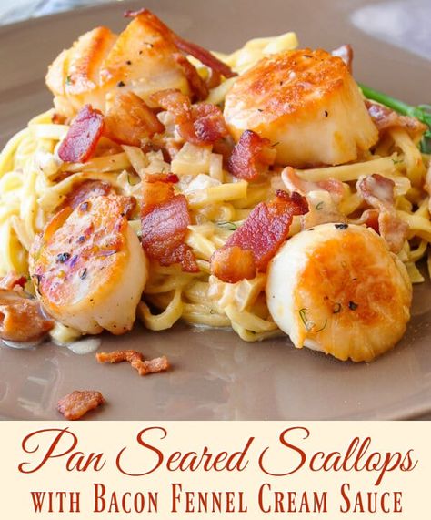 Pan Seared Scallops with Bacon Fennel Cream Sauce. The most popular scallops recipe ever on Rock Recipes. Folks just love the luscious bacon cream sauce. A great romantic dinner for 2. #mealprep #mealplanning #quickandeasymeals #dinnerparty Scallops And Bacon, Scallops With Bacon, Bacon Cream Sauce, Scallops Recipe, Pan Seared Scallops, Rock Recipes, Calabria Italy, Dinner For 2, Seared Scallops