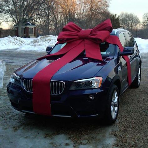 Auto Loans, Home Loan, Free Checking & Commercial Lending are just some of the services that Members Own Credit Union, based in Lincoln & Beatrice NE, offers. Car Bows, Jetset Babe, Funny Today, Car Gifts, Love Car, Funny Humor, Car Lover, My Ride, Hot Rod