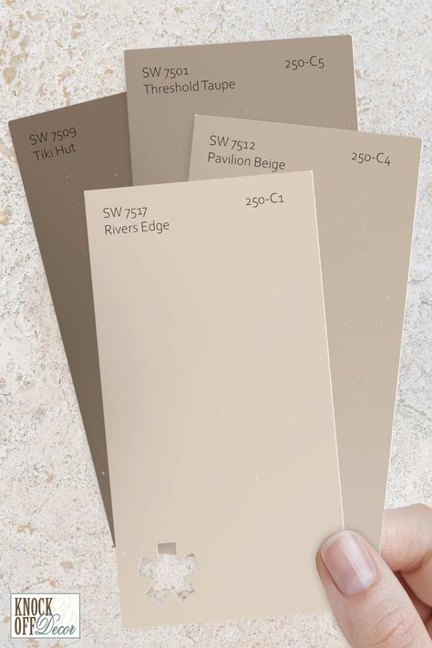 Neutral Kitchen Colors, Beige Paint Colors, Balanced Beige, Beige Paint, Paint Color Inspiration, House Color Palettes, Florida Style, Neutral Paint Colors, Powder Rooms