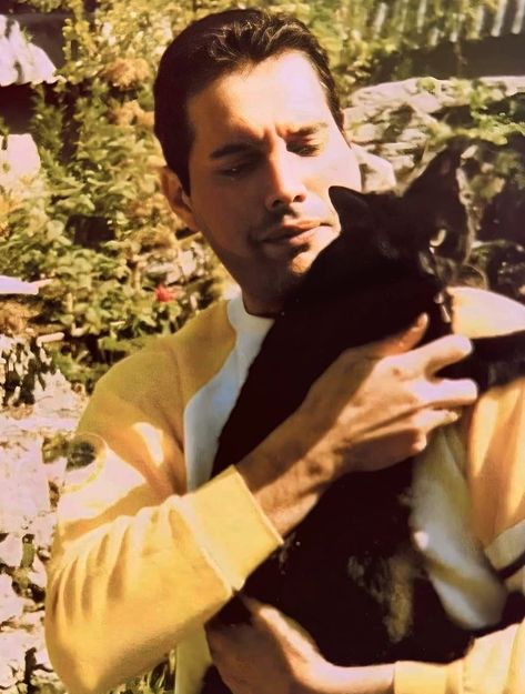 Freddie Mercury Aesthetic, Freddie Mercury Cat, Freddie Mercury Young, Youtube Au, Freddie Mercury Quotes, I Want Him Back, Garden Lodge, Queen Drawing, Queen Photos