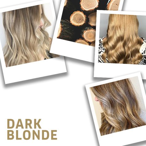 17 Dark Blonde Hair Ideas & Formulas | Wella Professionals Blonde Root Stretch, Dark Blonde Hair Ideas, Hair Color Swatches, Hair Caramel, Warm Blonde Hair, Wella Hair Color, Beige Blond, Blonde Hair Ideas, Dark Blonde Hair Color