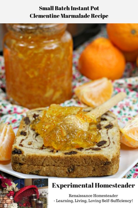 Learn how to use your Instant Pot to make this delicious, tangy clementine marmalade recipe. It's prefect for those who do small batch preserving. #clementinemarmaladerecipe #clementinerecipes #clementinemarmalade #marmaladerecipe #instantpotrecipes #instantpotrecipeseasy Clementine Recipes, Grapefruit Marmalade, Homemade Marmalade, Marmalade Recipe, Pot Recipes Easy, Cast Iron Skillet Recipes, Paddington Bear, Vegetable Drinks, On Toast