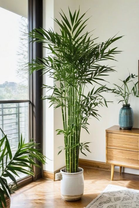 12 Best Indoor Plants For Mental Health Tall Indoor Plants Bedroom, Plants For Home Indoor, Bedroom Tree Plant, Kentia Palm Indoors, Plants For Inside The House, Living Room Plant Decor Ideas, Hallway Plant Ideas, Big Plants Indoor, Large House Plants Indoor