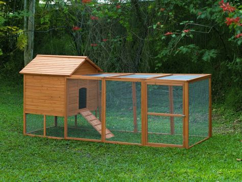 building a chicken coop | Free Range vs Chicken Run - BackYard Chickens Community Chicken Coop Kit, Cheap Chicken Coops, Easy Chicken Coop, Portable Chicken Coop, Backyard Chicken Coop Plans, Diy Chicken Coop Plans, Chicken Tractor, Coop Design, Best Chicken Coop