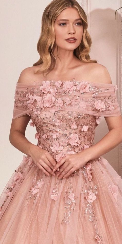 Pink Wedding Dress Lace, Empty Promises, Beautiful Ball Gowns, Party Wear Gowns, Beautiful Evening Gowns, Wedding Dress Bustle, Long Gowns, Actions Speak Louder Than Words, Maid Of Honour Dresses