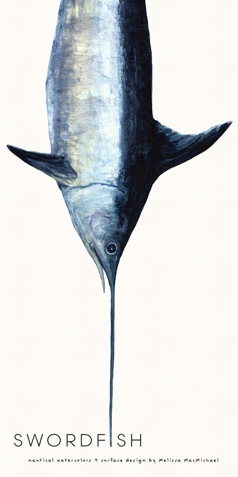 SWORDFISH - Nautical watercolors and surface design by Melissa MacMichael Hand painted Swordfish - Xiphias gladius, watercolor illustration. (Handpainted, watercolor, marine wildlife, nautical, ocean) ocean, fish, swordfish, billfish, sportfish, atlantic, nautical, marine, wildlife art, gift, gift for him, him Xiphias Gladius, White Marlin, Ocean Habitat, Maryland Blue Crab, Marine Wildlife, Watercolor Fine Art, Japanese Fish, Ocean Fish, Stickers Magnets