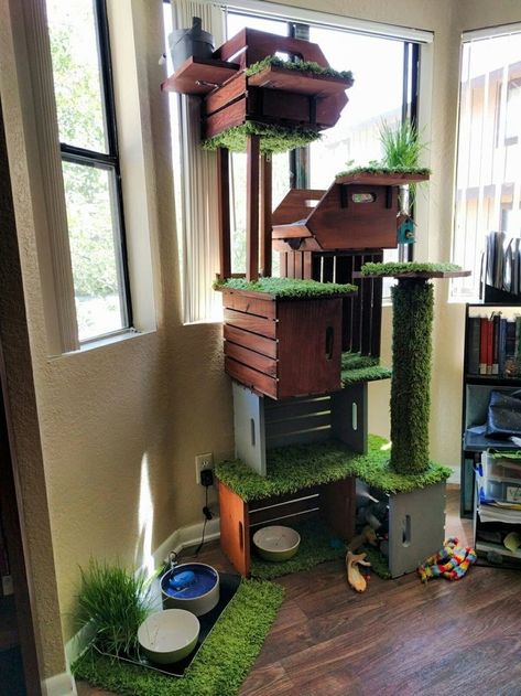 Diy Indoor Cat House, Diy Cat Tower, Cat Room Decor, Cat Playground Outdoor, Cat Furniture Design, Katt Grejer, Cat Castle, Colorful Hairstyles, Cat Patio