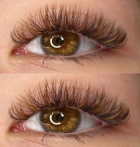 Orange Lashes Extensions, Brown And Black Eyelash Extensions, Orange Lash Extensions, Red Eyelash Extensions, Eyelash Extensions With Color, Fall Lashes, Lash Extensions With Color, Colored Eyelash Extensions, Color Eyelash Extensions