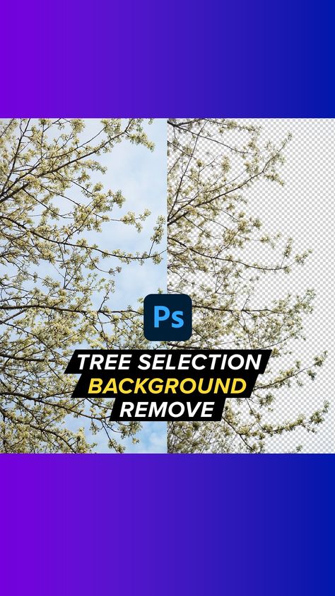 Remove background in Photoshop. Tree selection in Photoshop. Background remove in Photoshop Photoshop Tree, Remove Background In Photoshop, Tree Background, Background Remove, Background Remover, Photoshop Tips, Photoshop Backgrounds, 3d Wallpaper, Photoshop Tutorial