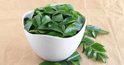 Curry Leaves For Hair Growth, Curry Leaf, Plant Sterols, Apple Cider Benefits, Crimped Hair, Natural Hair Care Tips, Indian Curry, Hair Control, Home Grown