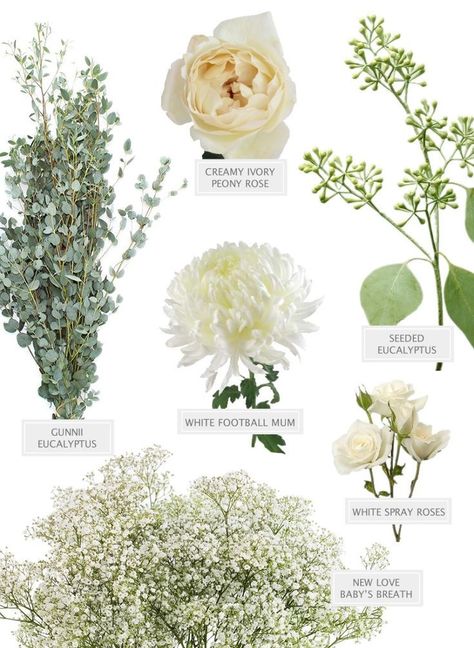 This makes the prettiest bouquet! See how to make it here  #flowers #weddingflowers #popularflowers #flowerideas  #weddingflowerarrangements #weddingflowersideas Woodlands Wedding, Fifty Flowers, White Spray Roses, Wedding Glamour, Fresh Wedding Flowers, Prettiest Bouquet, Popular Flowers, Flower Names, Winter Weddings