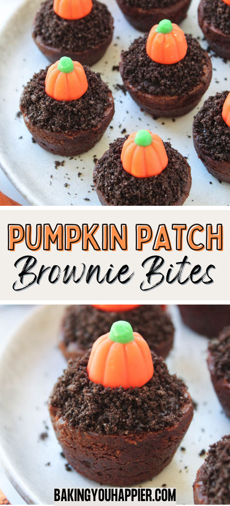 Pumpkin Patch Brownie Bites, store bought brownie bites made to look like little pumpkin patches! They make the perfect, easy Fall dessert! Thanksgiving Brownies, Cute Halloween Food, Candy Corn Recipe, Sweet Easy Recipes, Easy Thanksgiving Dessert Recipes, Thanksgiving Snacks, Chocolate Peanut Butter Smoothie, Thanksgiving Desserts Easy, Chocolate Peanut Butter Pie